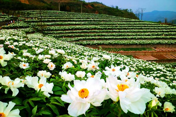 �ٮ�ĵ��������`��