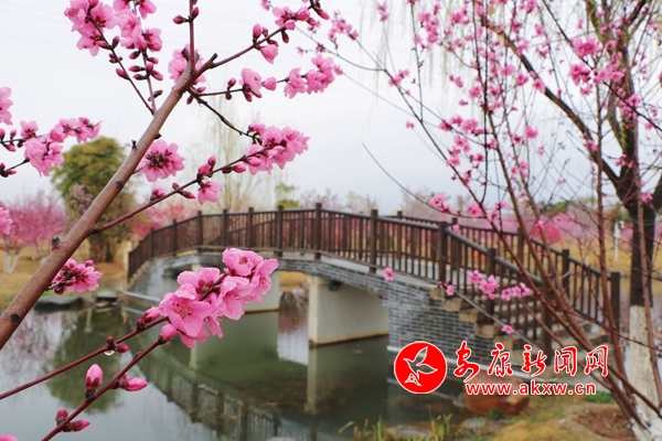 ���������һ�Դ