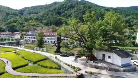 �h��p�ӿ��(zh��n)����׃�l(xi��ng)��չ����