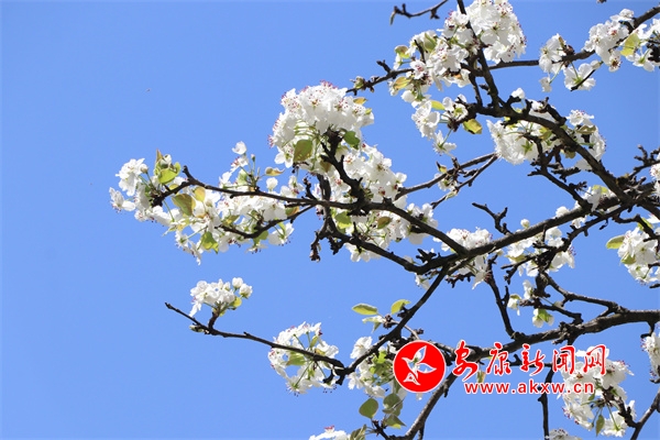 �Ҽt��״�����