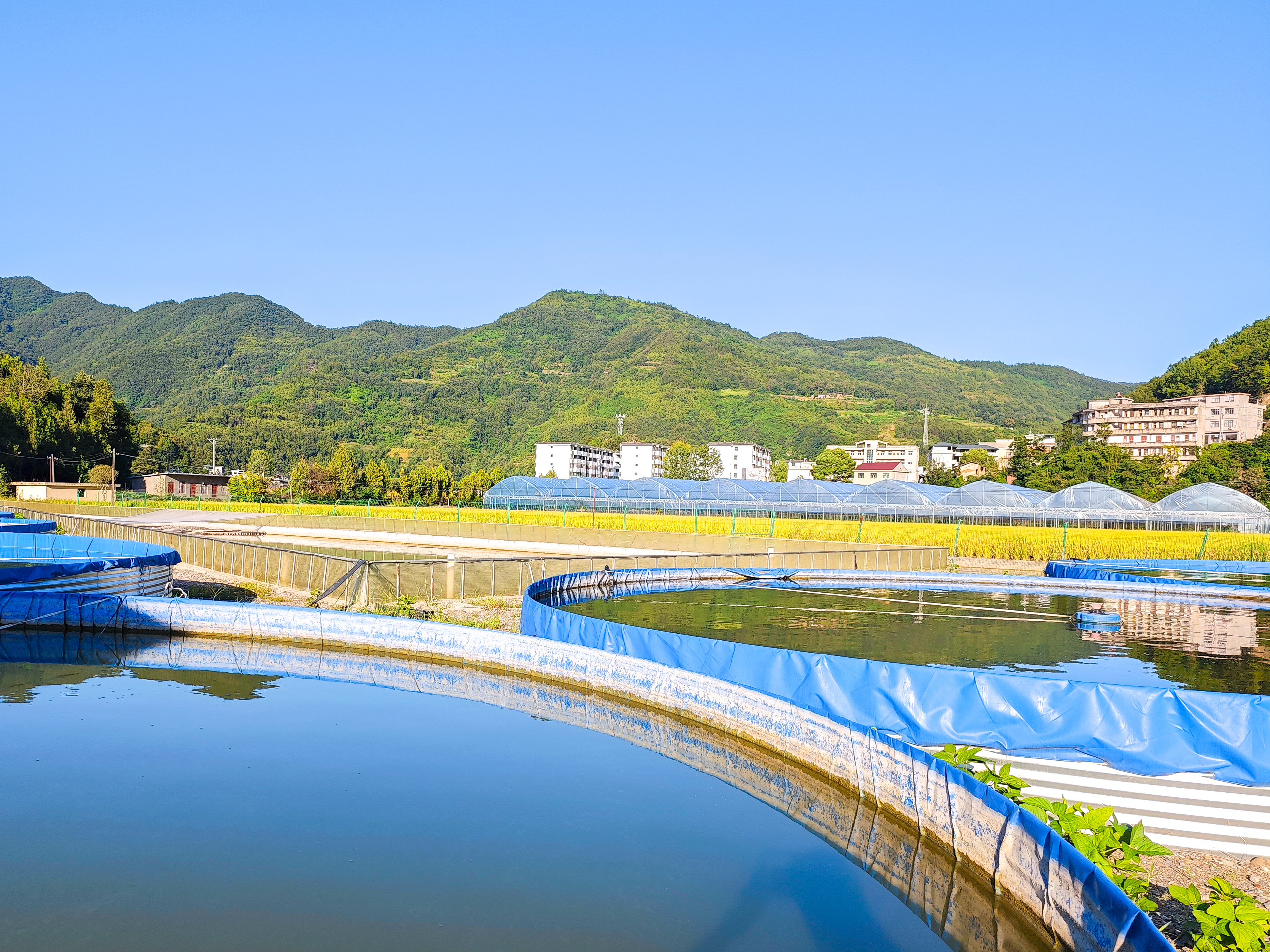 �~������ �l(xi��ng)���¾�