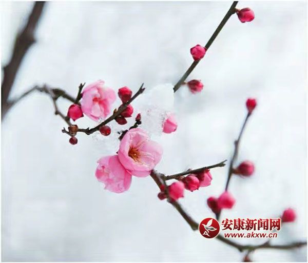 ���L�L�w���������l��һ���փɰ룿