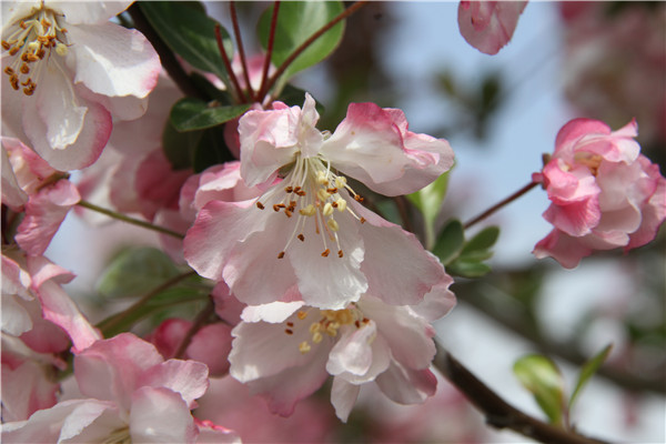 ��ͬ�����p����