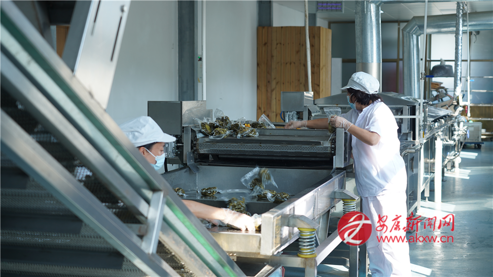 (圖為紫陽(yáng)縣煥古鎮(zhèn)大連村撩酸菜清潔化加工生產(chǎn)車(chē)間)