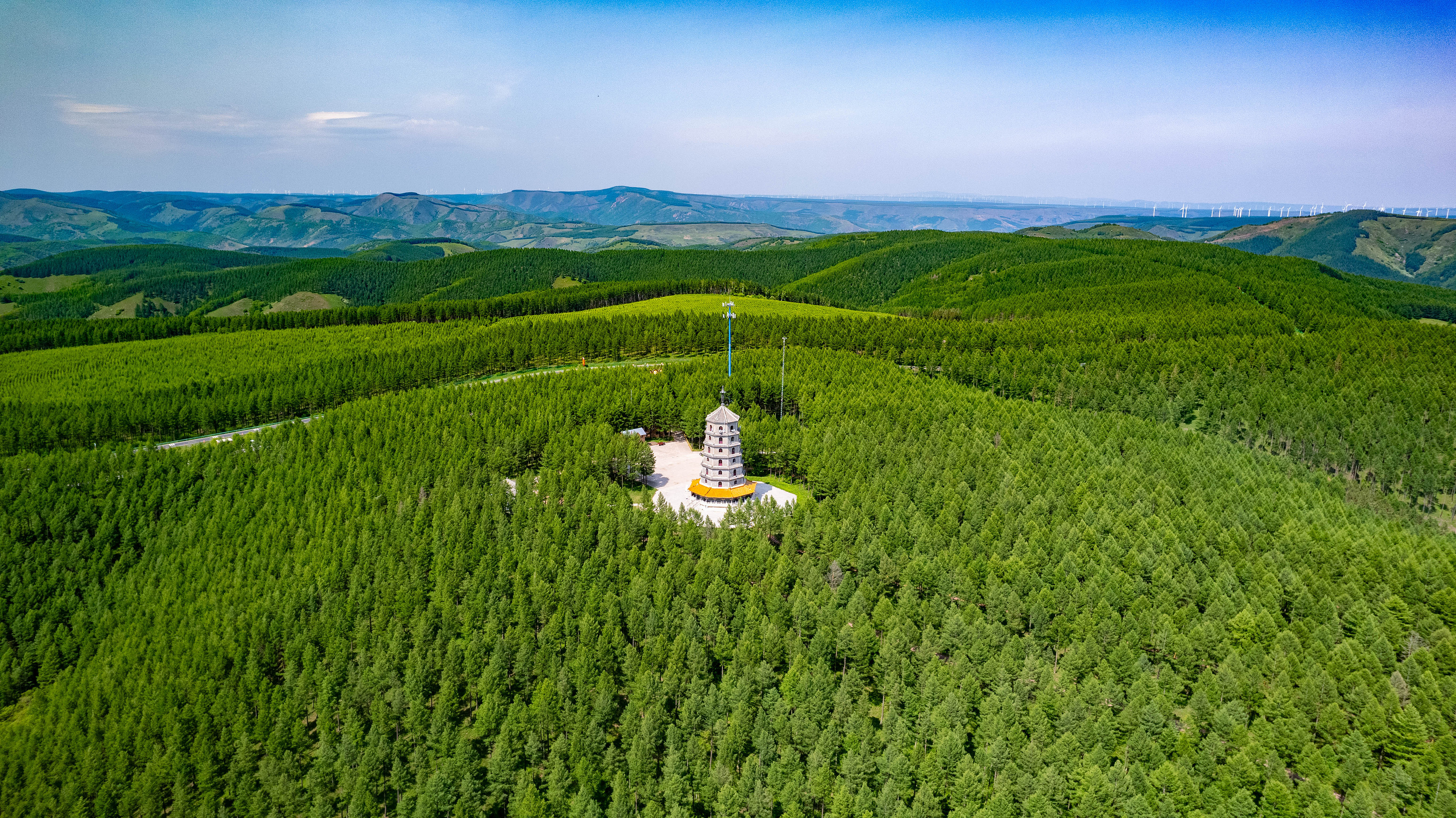 2025年6月11日，河北承德，塞罕壩林海浩渺。